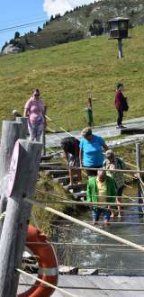 dsc