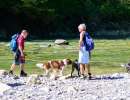 dsc