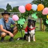stt
